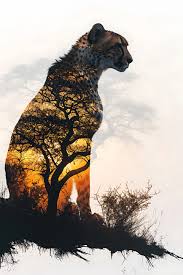 silhouette of cheetah with double