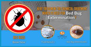 does bed bug heat treatment work better