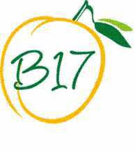 B17 vitamini diğer adıyla leatrile, ilk kez 1830 yılında ernest krebs tarafından sentezlenmiş. Avantages Et Bienfaits De La Vitamine B17 Paperblog