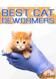 We did not find results for: Top 5 Best Cat Dewormer 2021 Complete Buyer S Guide