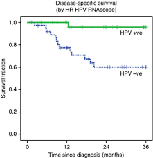 Kaplan Meier Chart For Dss As Demonstrated By Hr Hpv