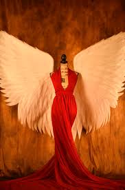 In this sub category you can download free png images: Angel Wings Pictures Download Free Images On Unsplash