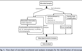 Figure 1 From Identification Of Pathogens By Mass