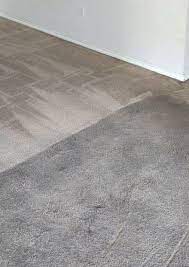 the 1 for carpet cleaning in allen tx