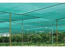 Agriculture Covering Net As Greenhouse