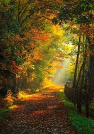 Image result for autumn  windy images