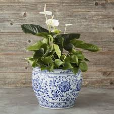 Blue White Ceramic Planter Extra