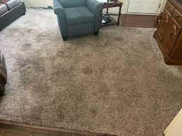 affordable carpet cleaning smyrna tn