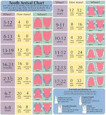 Teeth Cleaning Chart For Kids Kids Smile Dentistry