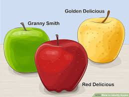 How To Identify Apples 11 Steps With Pictures Wikihow