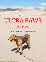 Ultra Paws Dog Boots Best Dog Boots For Hiking Hiking