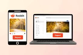 report a subreddit on reddit desktop