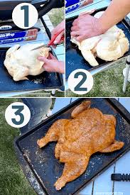 Maybe you would like to learn more about one of these? Barbeque Spatchcock Chicken A Weber Q Recipe To Up Your Camping Game We Aren T Ready Yet