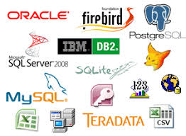 Database Management Systems Nexus Web Development
