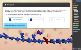 Print pageassessment questions:questions & answers±1. Protein Synthesis Stem Case Lesson Info Explorelearning