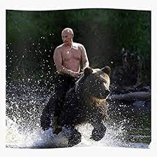 Bargaineddeals Vladimir Putin Meme Bear Affiche d'impression d'art de Mur  de décor à la Maison ! : Amazon.fr: Cuisine et Maison