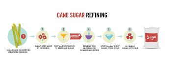 Purification Of Sugar