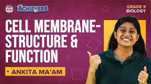 cell membrane structure functions
