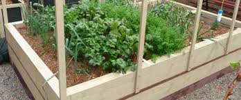 do worm wicking beds work sustainable