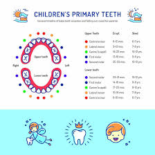 Baby Teeth Chart Comprehensive Dental
