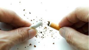 31 mei dipilih sebagai cara untuk menyebarkan informasi kepada masyarakat global akan bahaya penggunaan tembakau. Hari Tanpa Tembakau Sedunia Apa Dampak Negatif Asap Rokok