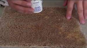 fixing bleach stains on beige carpet