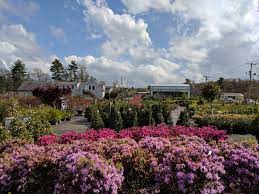 Our garden centres are open. Garden Center Seoane Landscape Design Inc