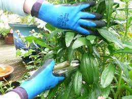 Waterproof Grip Gardening Gloves