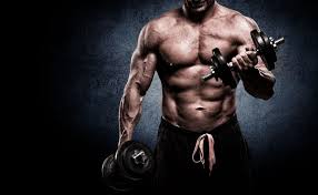 workout should be to build muscle