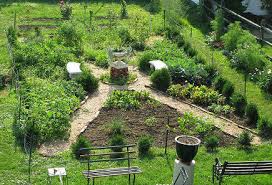 Formal Kitchen Gardens