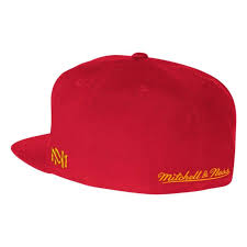 Team Logo Fitted Hat Houston Rockets Shop Mitchell Ness