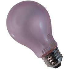 Maxiaids Chromalux Natural Light Bulb 100 Watt