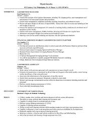 Lab Resume Examples Magdalene Project Org