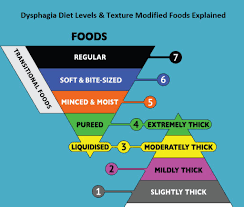 This Article Enriches Your Knowledge About Dysphagia Diet
