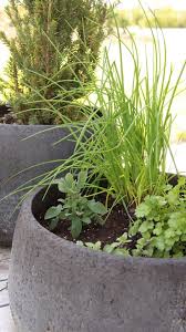 14 Herb Planter Options Ideas To