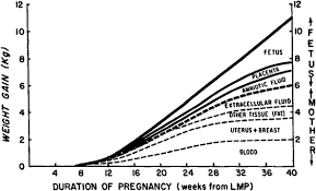 body composition changes in pregnancy
