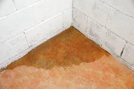 Common Causes Of Basement Water Damage