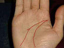 Terms for destiny palmistry services. Know What The Money Line In Your Palm Says About You The Times Of India