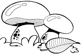 As he or she enjoys their favourite. Cute Mushroom Coloring Pages Novocom Top