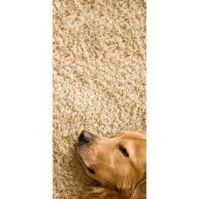 carpet cleaning near lakes entrance