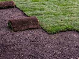 Water the lawn for 20 to 30 minutes at a time in each area, or however long is needed to ensure the water penetrates a few. Sod Laying Instructions How To Lay Sod Care For New Sod