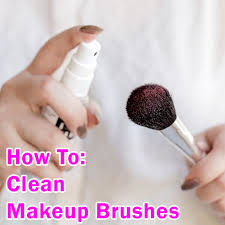 clean makeup brushes apc pure