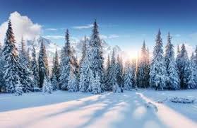 Winter Scenery Stock Photos, Images and Backgrounds for Free Download