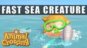 Its licensors have not otherwise endorsed this site and are not responsible for the operation of or content on this site. Animal Crossing New Horizons How To Catch The Fast Sea Creature Youtube