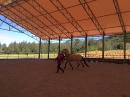 Terra De Belos Cavalos Indoor Riding Arena Design By