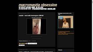 Blog: Macromastia Obsession – Makromastie.info