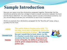 OPENERS HOOKS Examples of possible openers and hooks    ppt download   Suggestions for Writing    