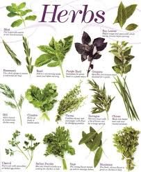 Herbs Chart Raised Herb Garden Healthy Herbs Healing Herbs