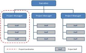 Organizational Structure Types For Project Managers