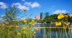 things to do in knoxville tennessee